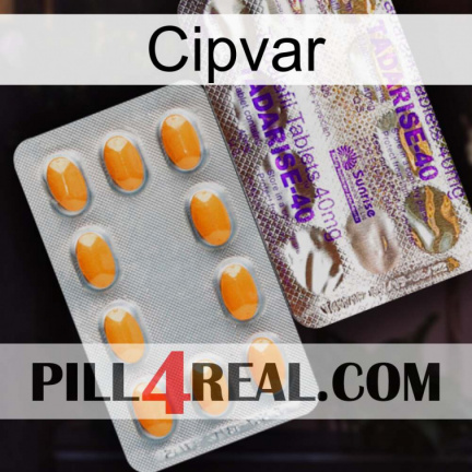 Cipvar new12